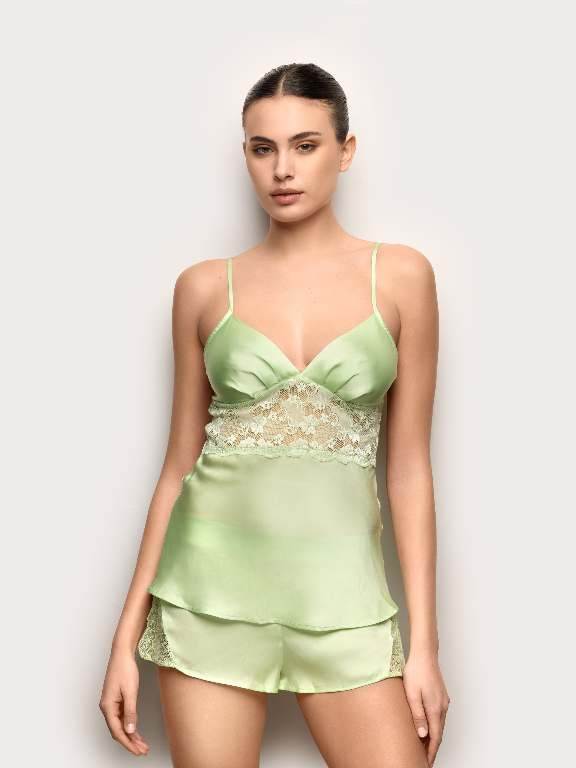 #color_vert_clair;#color_light_green;#color_verde_claro;#color_hellgrün;#color_verde_chiaro