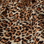 #color_animal;#color_animal_print;#color_animal_print;#color_animalprint;#color_animalier