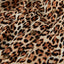 #color_animal;#color_animal_print;#color_animal_print;#color_animalprint;#color_animalier