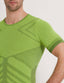 #color_citron_vert;#color_lime;#color_lima;#color_limette;#color_lime
