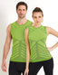 #color_citron_vert;#color_lime;#color_lima;#color_limette;#color_lime