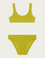 #color_citron_vert;#color_lime;#color_lima;#color_limette;#color_lime