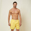 #color_jaune;#color_yellow;#color_amarillo;#color_gelb;#color_giallo