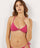 #color_fuchsia;#color_fuchsia;#color_fucsia;#color_fuchsia;#color_fucsia