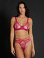 #color_fuchsia;#color_fuchsia;#color_fucsia;#color_fuchsia;#color_fucsia