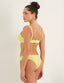#color_citron_vert;#color_lime;#color_lima;#color_limette;#color_lime