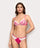 #color_fuchsia;#color_fuchsia;#color_fucsia;#color_fuchsia;#color_fucsia