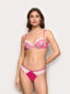 #color_fuchsia;#color_fuchsia;#color_fucsia;#color_fuchsia;#color_fucsia