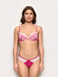 #color_fuchsia;#color_fuchsia;#color_fucsia;#color_fuchsia;#color_fucsia