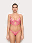 #color_fuchsia;#color_fuchsia;#color_fucsia;#color_fuchsia;#color_fucsia