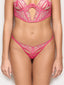 #color_fuchsia;#color_fuchsia;#color_fucsia;#color_fuchsia;#color_fucsia