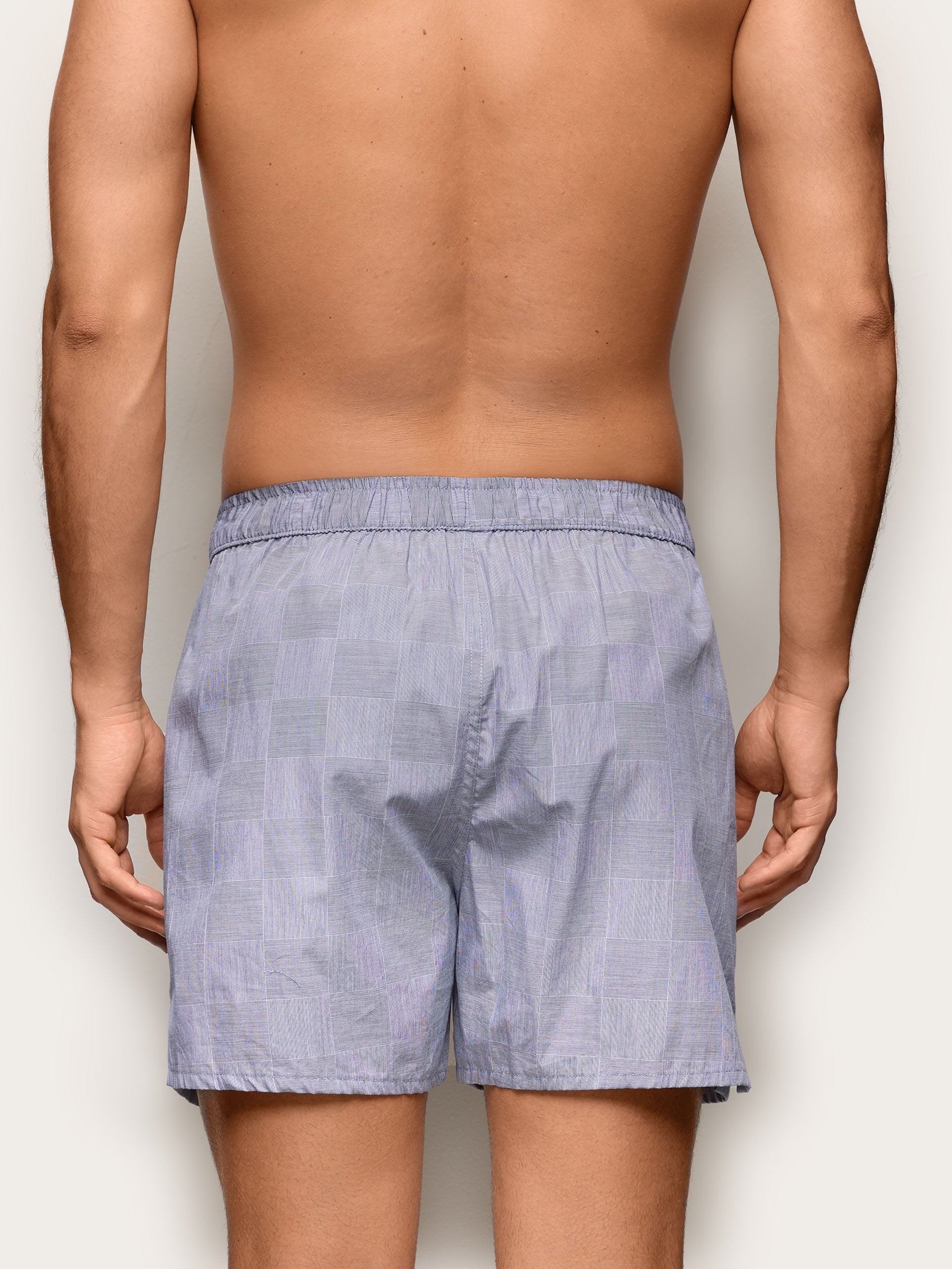 Boxers Daily