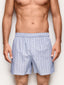 Boxer Daily