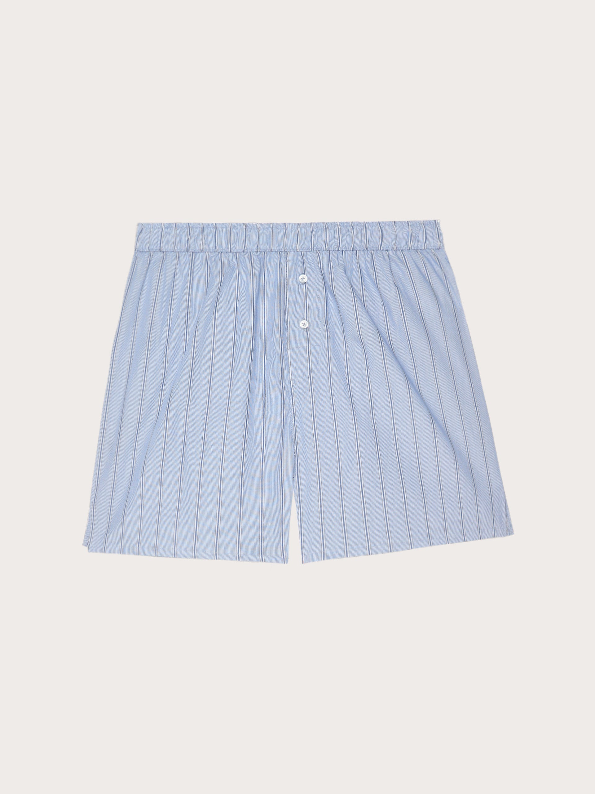 Boxer Daily