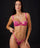 #color_fuchsia;#color_fuchsia;#color_fucsia;#color_fuchsia;#color_fucsia