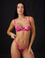 #color_fuchsia;#color_fuchsia;#color_fucsia;#color_fuchsia;#color_fucsia