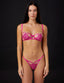 #color_fuchsia;#color_fuchsia;#color_fucsia;#color_fuchsia;#color_fucsia
