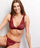 #color_bordeaux;#color_burgundy;#color_burdeos;#color_bordeaux;#color_bordeaux