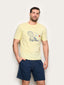 #color_jaune;#color_yellow;#color_amarillo;#color_gelb;#color_giallo