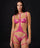 #color_fuchsia;#color_fuchsia;#color_fucsia;#color_fuchsia;#color_fucsia