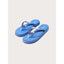 #color_bleu;#color_blue;#color_azul;#color_blau;#color_blu